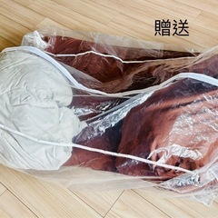 布団セイト