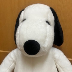 昭和レトロ ヴィンテージ セキグチ 犬 ぬいぐるみ 中古品 - メルカリ