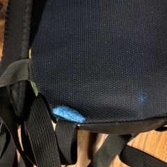 グレゴリーのリュックの画像