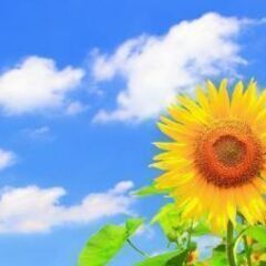 アウトドア趣味の友達募集します🍀