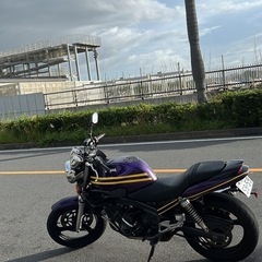 YAMAHA FZX250