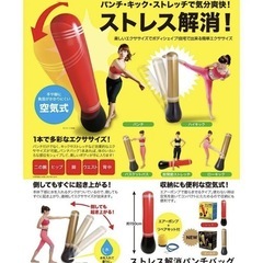 パンチングバッグ・エアー サンドバックの画像