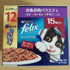 猫ちゃんご飯