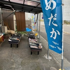 浴衣入荷しました　　
帯、反物、着物、かすり生地、パッチワーク各種生地等掘り出し物の画像