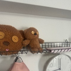 ダイソー吊り下げ？ラックの画像