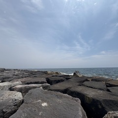 ゆるめの釣り🎣