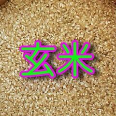 お米🍚