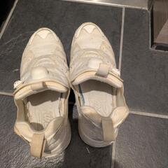 Reebok CLASSIC リーボック クラシック チョーク/マルチカラー CM9389の画像