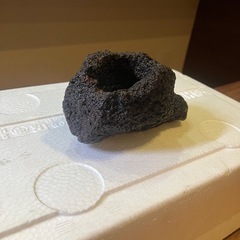 溶岩石　石鉢　アクアリウム　水槽の画像