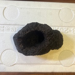 溶岩石　石鉢　アクアリウム　水槽の画像
