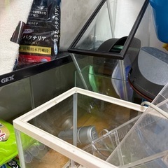 水槽 12個とメダカ飼育用水槽とベタ水槽