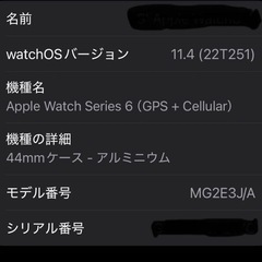 Apple Watch ceries6 GPS Cellulerの画像