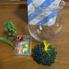 金魚鉢　ガラス　世界のガラス館　鑑賞
