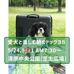 愛犬と楽しむ朝のドッグヨガ 5/24(土)清原中央公園 ワンコイ...