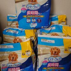 大型犬用マナーウェア LLサイズ 9点セット