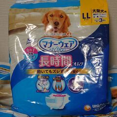 大型犬用マナーウェア LLサイズ 9点セットの画像