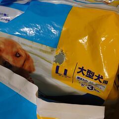大型犬用マナーウェア LLサイズ 9点セットの画像