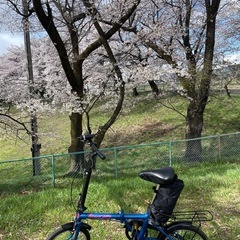 折りたたみ自転車折りたたみ自転車
 収納 バッグ