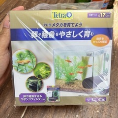 メダカ用品入荷してます。
