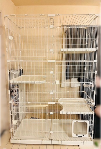 取り引き中猫用大型ケージ