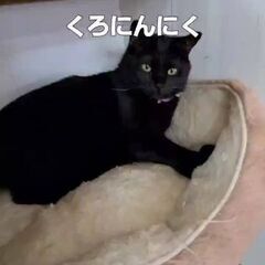 くろにんにく(オス)