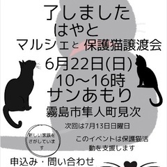 はやとマルシェ出店者募集終了