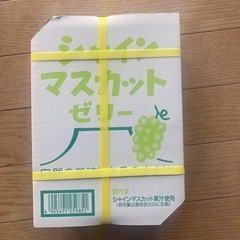シャインマスカットゼリー20個入①
