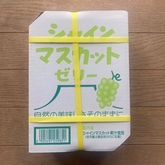 シャインマスカットゼリ20個入②の画像
