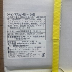 シャインマスカットゼリ20個入②の画像