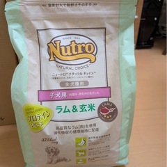 【未開封】ニュートロ　ラム&玄米　子犬用　3kg