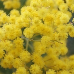カメラ初心者です。一緒に撮影行ける仲間募集 − 広島県