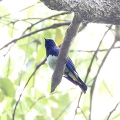 カメラ初心者です。一緒に撮影行ける仲間募集 - 広島市