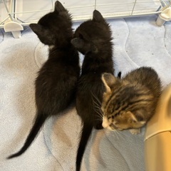 まだまだ小さくて