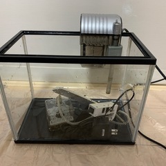 水槽
