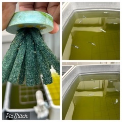 墨武（ボブ）産卵床　メダカの卵