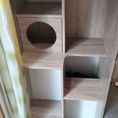 キャットウォーク 猫 本棚 おしゃれ 収納棚 木製 幅60cmの画像