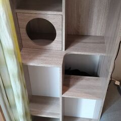 キャットウォーク 猫 本棚 おしゃれ 収納棚 木製 幅60cmの画像