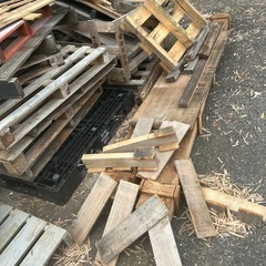 【本日限定】焚き火の薪の代わりに！マルのこぎり貸しますの画像