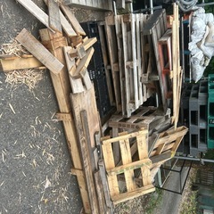 【本日限定】焚き火の薪の代わりに！マルのこぎり貸します