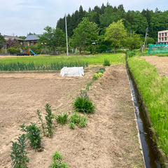 №D514【新潟県見附市河野町・池之島町・太田町・神保町】農地1...