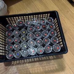 パプアキンイロクワガタ