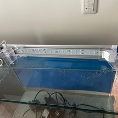 ニッソー　LEDライト
の画像