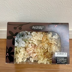 ドライフラワー　アジサイ