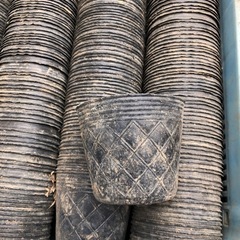 農業用資材 苗 ポット　ポリポット の画像