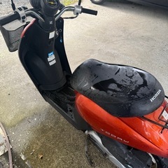 ホンダ　トゥデイの画像