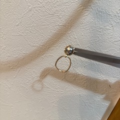 ピアスの画像