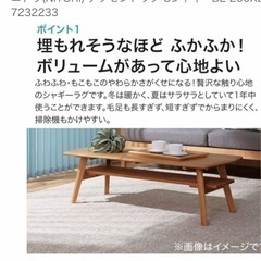 ニトリ　ラグの画像