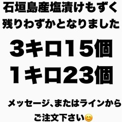石垣島産塩漬けもずく