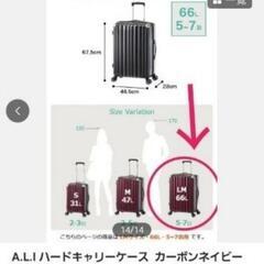 A.L.I ハードキャリーケース  カーボンネイビー 【66L】の画像