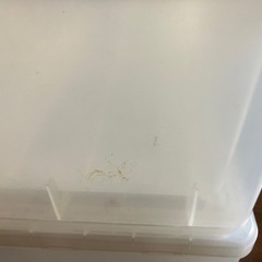 【決まりました】
衣装ケース（バラ①）の画像